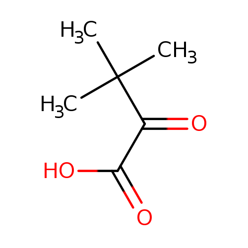 O=C(C(C)(C)C)C(=O)O