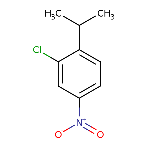 CC(c1ccc(cc1Cl)[N+](=O)[O-])C