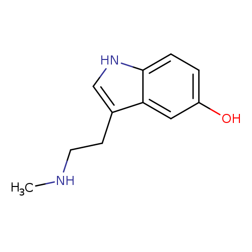 CNCCc1c[nH]c2c1cc(O)cc2