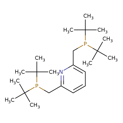 CC(P(C(C)(C)C)Cc1cccc(n1)CP(C(C)(C)C)C(C)(C)C)(C)C