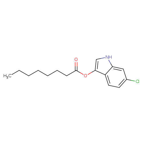 CCCCCCCC(=O)Oc1c[nH]c2c1ccc(c2)Cl