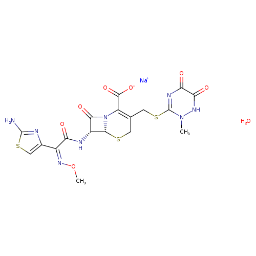 CO/N=C(/c1csc(n1)N)C(=O)N[C@@H]1C(=O)N2[C@@H]1SCC(=C2C(=O)[O-])CSc1nc(=O)c(=O)[nH]n1C.[Na+].O