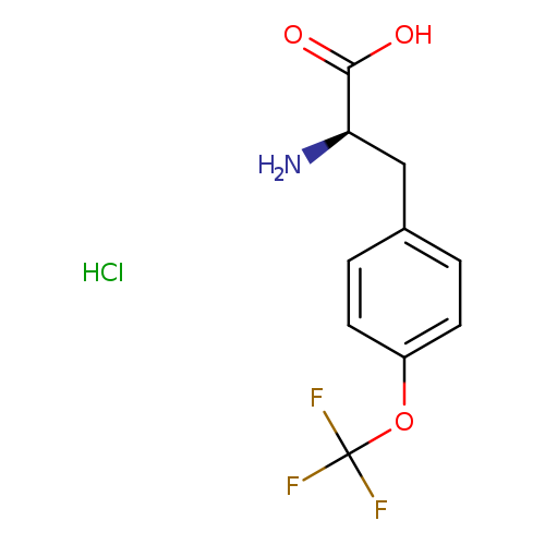 N[C@@H](C(=O)O)Cc1ccc(cc1)OC(F)(F)F.Cl