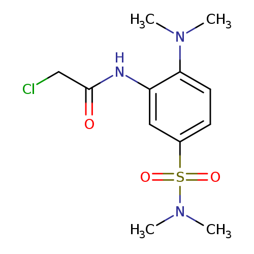 ClCC(=O)Nc1cc(ccc1N(C)C)S(=O)(=O)N(C)C