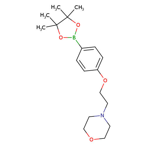 CC1(C)OB(OC1(C)C)c1ccc(cc1)OCCN1CCOCC1