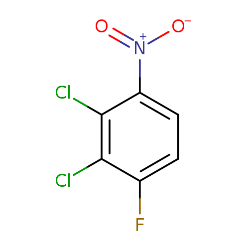 [O-][N+](=O)c1ccc(c(c1Cl)Cl)F