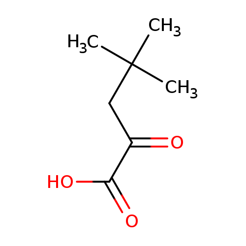 O=C(C(=O)O)CC(C)(C)C