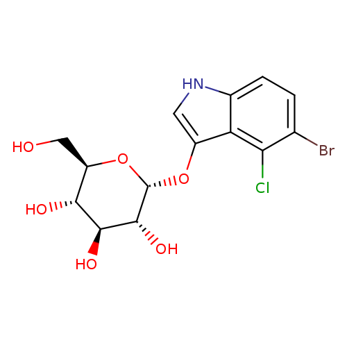 OC[C@H]1O[C@H](Oc2c[nH]c3c2c(Cl)c(cc3)Br)[C@@H]([C@H]([C@@H]1O)O)O