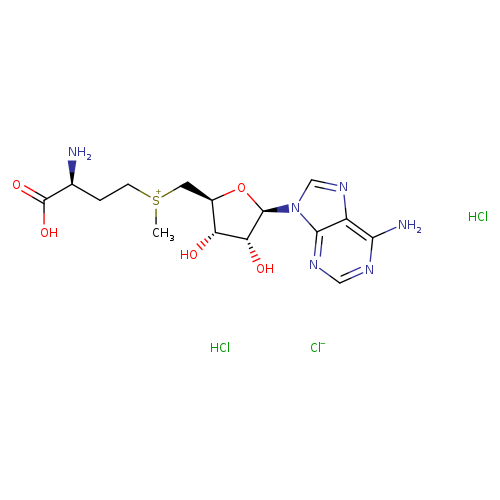 C[S+](C[C@H]1O[C@H]([C@@H]([C@@H]1O)O)n1cnc2c1ncnc2N)CC[C@@H](C(=O)O)N.Cl.Cl.[Cl-]