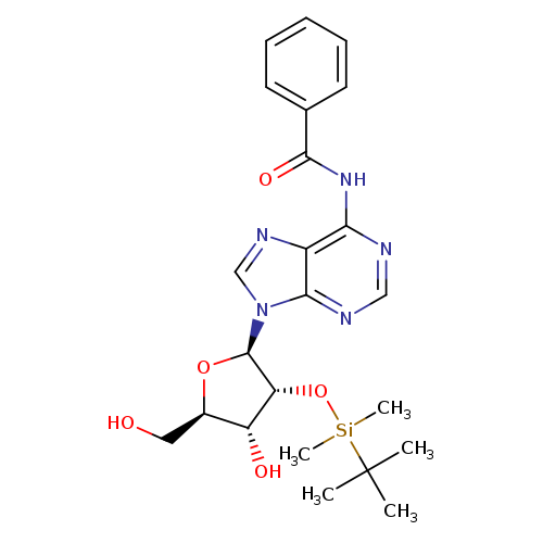 OC[C@H]1O[C@H]([C@@H]([C@@H]1O)O[Si](C(C)(C)C)(C)C)n1cnc2c1ncnc2NC(=O)c1ccccc1