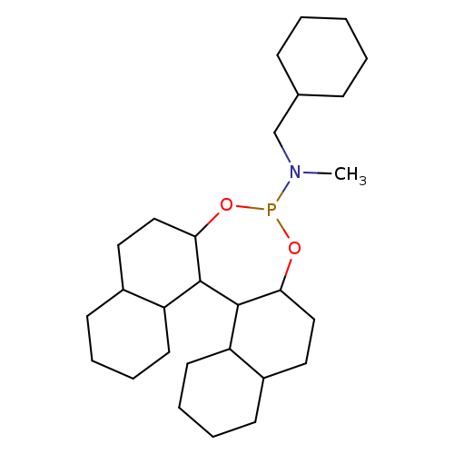 CN(P1OC2CCC3C(C2C2C(O1)CCC1C2CCCC1)CCCC3)CC1CCCCC1