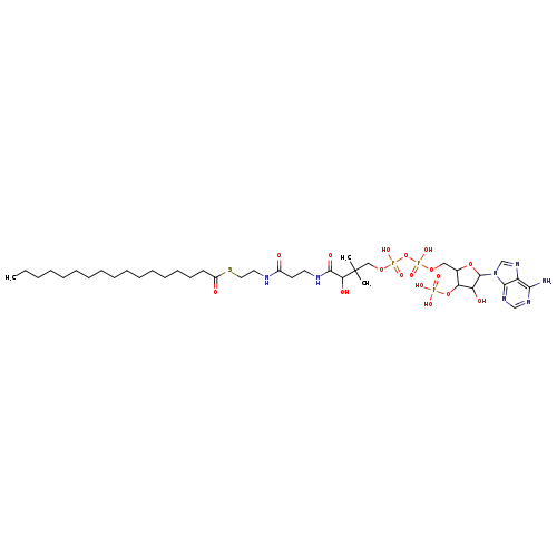 CCCCCCCCCCCCCCCCC(=O)SCCNC(=O)CCNC(=O)C(C(COP(=O)(OP(=O)(OCC1OC(C(C1OP(=O)(O)O)O)n1cnc2c1ncnc2N)O)O)(C)C)O