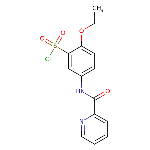 CCOc1ccc(cc1S(=O)(=O)Cl)NC(=O)c1ccccn1
