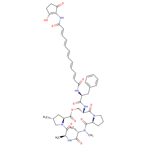 C[C@H]1CN2[C@@H](C1)C(=O)OC[C@H](NC(=O)[C@H](Cc1ccccc1)NC(=O)/C=C/C=C/C=C/C=C/C=C/C(=O)NC1=C(O)CCC1=O)C(=O)N1CCC[C@H]1C(=O)N([C@H](C(=O)N[C@H](C2=O)C)C)C