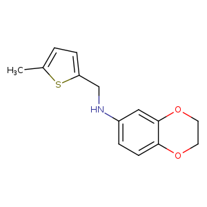 Cc1ccc(s1)CNc1ccc2c(c1)OCCO2