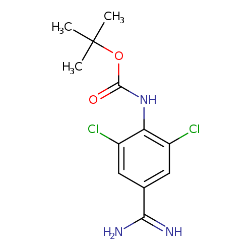 O=C(Nc1c(Cl)cc(cc1Cl)C(=N)N)OC(C)(C)C