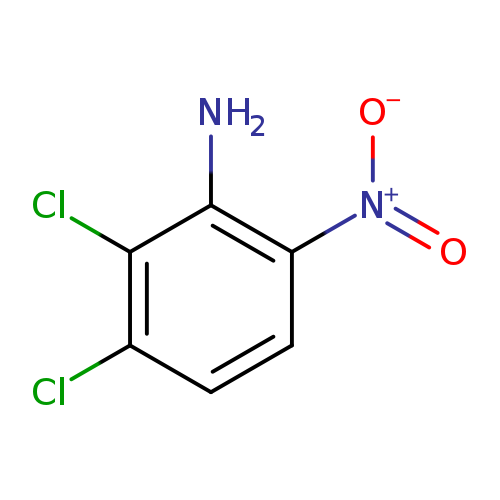 [O-][N+](=O)c1ccc(c(c1N)Cl)Cl