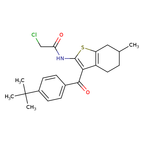 ClCC(=O)Nc1sc2c(c1C(=O)c1ccc(cc1)C(C)(C)C)CCC(C2)C