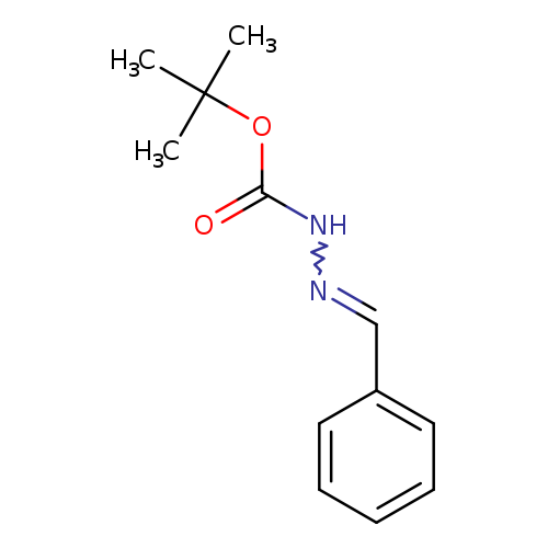 O=C(OC(C)(C)C)NN=Cc1ccccc1