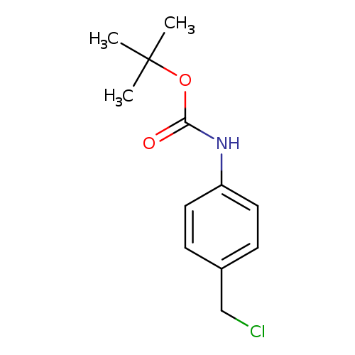 ClCc1ccc(cc1)NC(=O)OC(C)(C)C