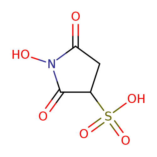 O=C1CC(C(=O)N1O)S(=O)(=O)O
