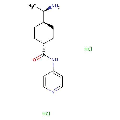 C[C@H]([C@@H]1CC[C@H](CC1)C(=O)Nc1ccncc1)N.Cl.Cl