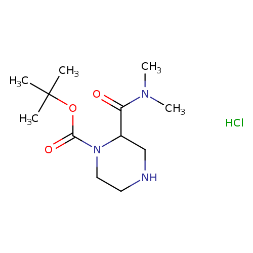 O=C(C1CNCCN1C(=O)OC(C)(C)C)N(C)C.Cl