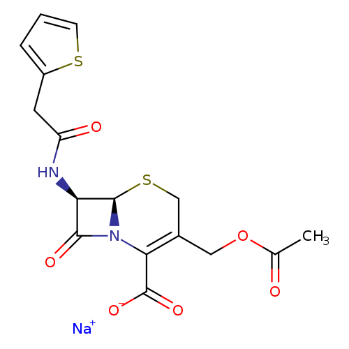 CC(=O)OCC1=C(C(=O)[O-])N2[C@H](SC1)[C@@H](C2=O)NC(=O)Cc1cccs1.[Na+]