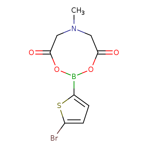 CN1CC(=O)OB(OC(=O)C1)c1ccc(s1)Br