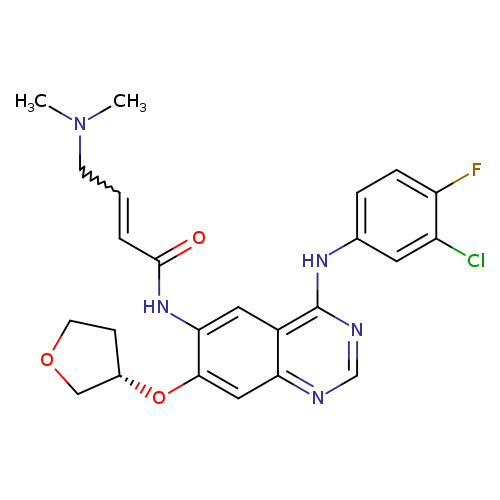 CN(CC=CC(=O)Nc1cc2c(ncnc2cc1O[C@@H]1COCC1)Nc1ccc(c(c1)Cl)F)C