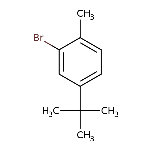 Cc1ccc(cc1Br)C(C)(C)C