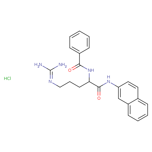 NC(=NCCCC(C(=O)Nc1ccc2c(c1)cccc2)NC(=O)c1ccccc1)N.Cl