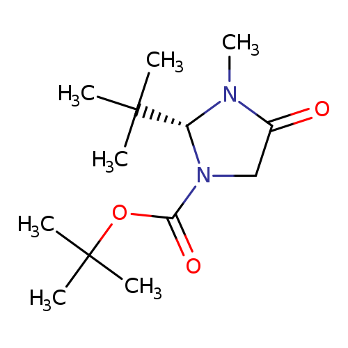 O=C(N1CC(=O)N([C@H]1C(C)(C)C)C)OC(C)(C)C