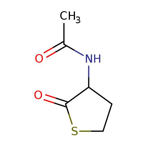 CC(=O)NC1CCSC1=O