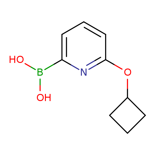OB(c1cccc(n1)OC1CCC1)O