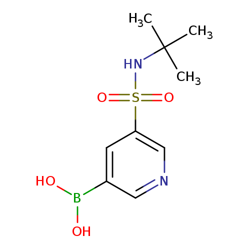 OB(c1cncc(c1)S(=O)(=O)NC(C)(C)C)O