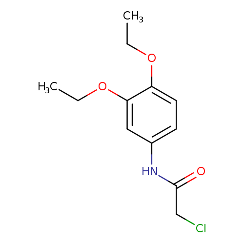 CCOc1cc(ccc1OCC)NC(=O)CCl