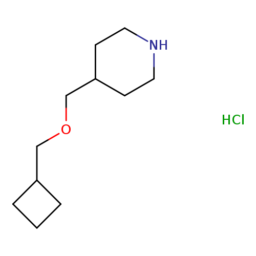 N1CCC(CC1)COCC1CCC1.Cl