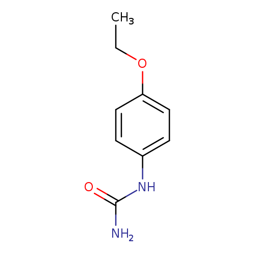 CCOc1ccc(cc1)NC(=O)N
