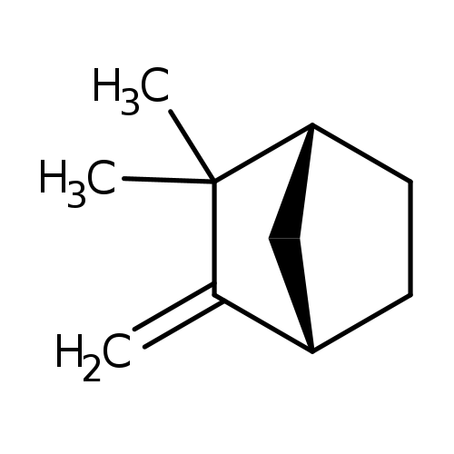 C=C1[C@H]2CC[C@@H](C1(C)C)C2