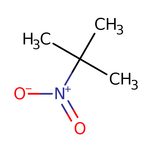 CC([N+](=O)[O-])(C)C