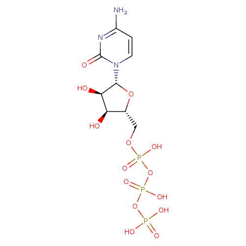 O[C@@H]1[C@@H](COP(=O)(OP(=O)(OP(=O)(O)O)O)O)O[C@H]([C@@H]1O)n1ccc(nc1=O)N