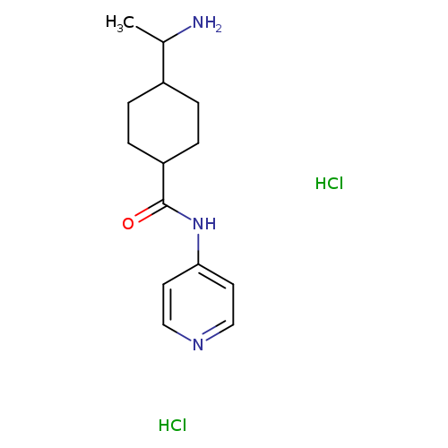 CC(C1CCC(CC1)C(=O)Nc1ccncc1)N.Cl.Cl