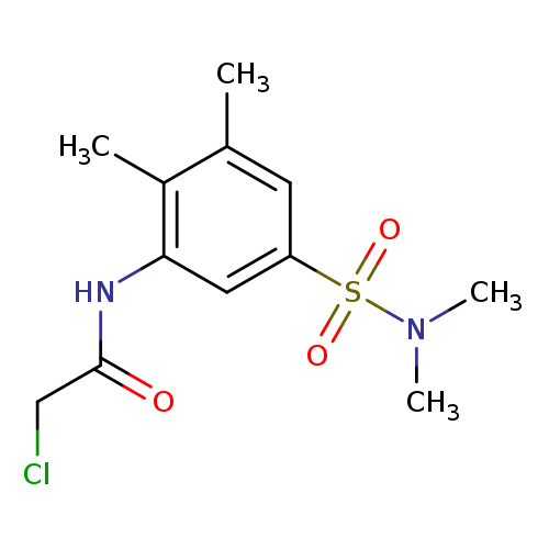 ClCC(=O)Nc1cc(cc(c1C)C)S(=O)(=O)N(C)C