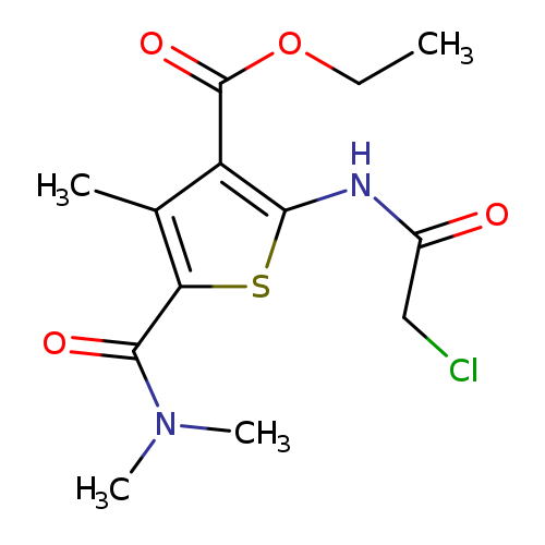 CCOC(=O)c1c(NC(=O)CCl)sc(c1C)C(=O)N(C)C