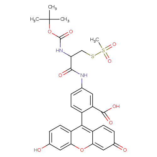 O=C(OC(C)(C)C)NC(C(=O)Nc1ccc(c(c1)C(=O)O)c1c2ccc(=O)cc2oc2c1ccc(c2)O)CSS(=O)(=O)C