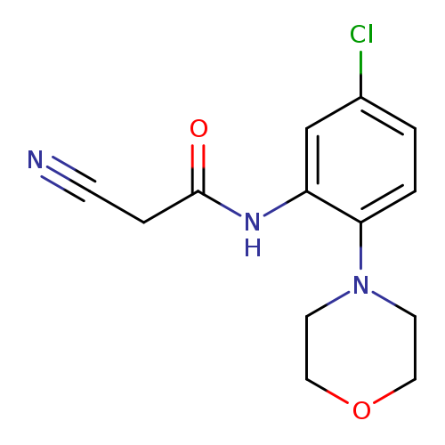 N#CCC(=O)Nc1cc(Cl)ccc1N1CCOCC1