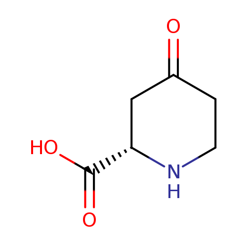 O=C1CCN[C@@H](C1)C(=O)O
