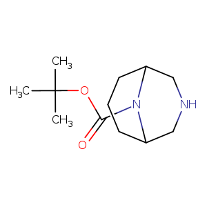 O=C(N1C2CCCC1CNC2)OC(C)(C)C