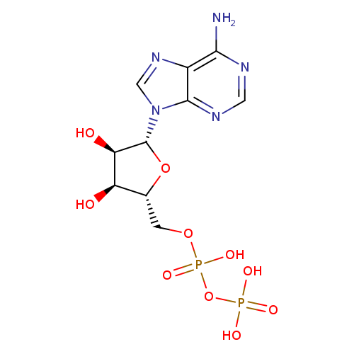 O[C@@H]1[C@@H](COP(=O)(OP(=O)(O)O)O)O[C@H]([C@@H]1O)n1cnc2c1ncnc2N